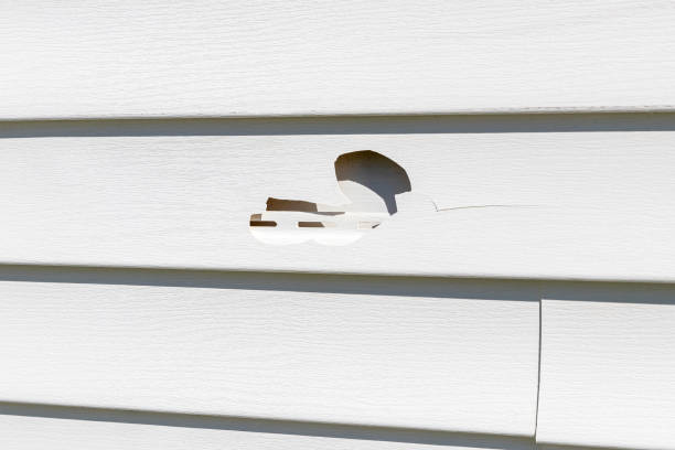 Best Construction Debris Removal  in Post Falls, ID
